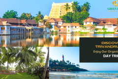 Green Royale Living Spaces